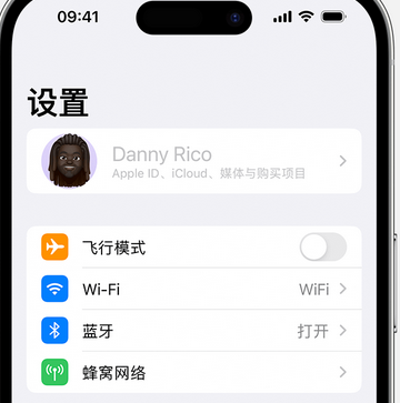 万江街道appleID维修服务iPhone设置中Apple ID显示为灰色无法使用