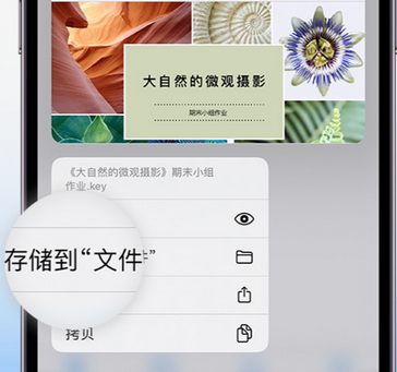 万江街道apple维修中心分享iPhone文件应用中存储和找到下载文件