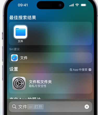 万江街道apple维修中心分享iPhone文件应用中存储和找到下载文件 