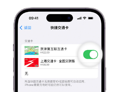 万江街道apple维修点分享iPhone上更换Apple Pay快捷交通卡手绘卡面 