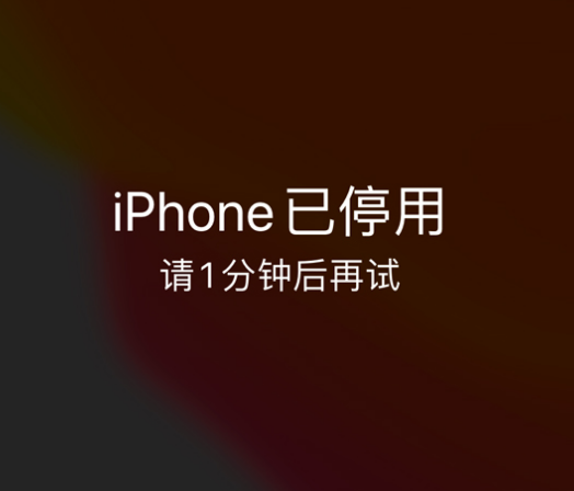 万江街道苹果手机维修分享:iPhone 显示“不可用”或“已停用”怎么办？还能保留数据吗？ 