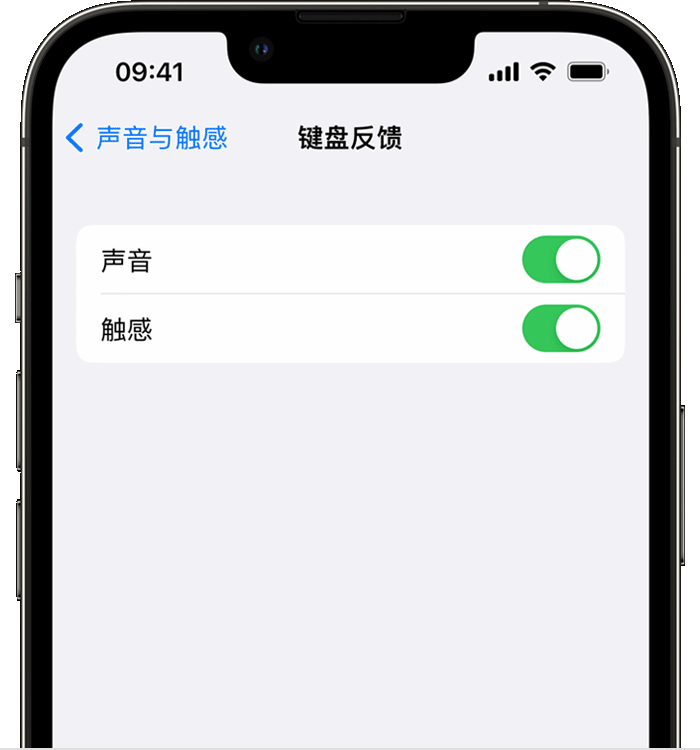 万江街道苹果14维修店分享如何在 iPhone 14 机型中使用触感键盘 