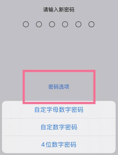 万江街道苹果14维修分享iPhone 14plus设置密码的方法 