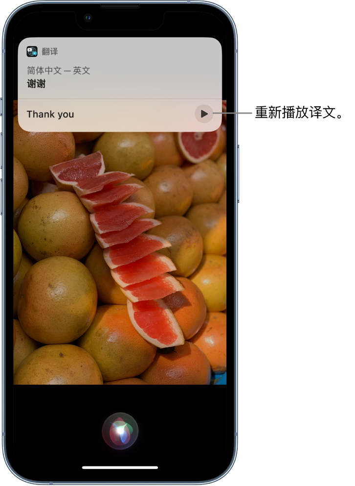 万江街道苹果14维修分享 iPhone 14 机型中使用 Siri：了解 Siri 能帮你做什么 