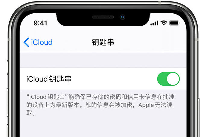 万江街道苹果手机维修分享在 iPhone 上开启 iCloud 钥匙串之后会储存哪些信息 