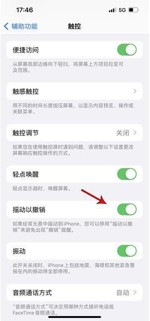 万江街道苹果手机维修分享iPhone手机如何设置摇一摇删除文字 