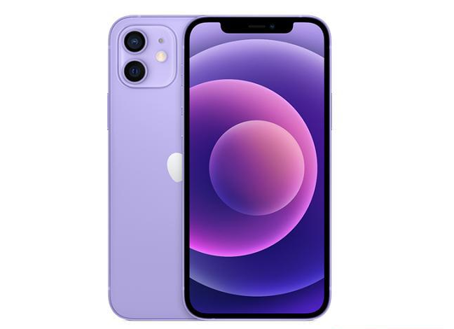 万江街道苹果手机维修分享现阶段要不要入手紫色版iPhone12 